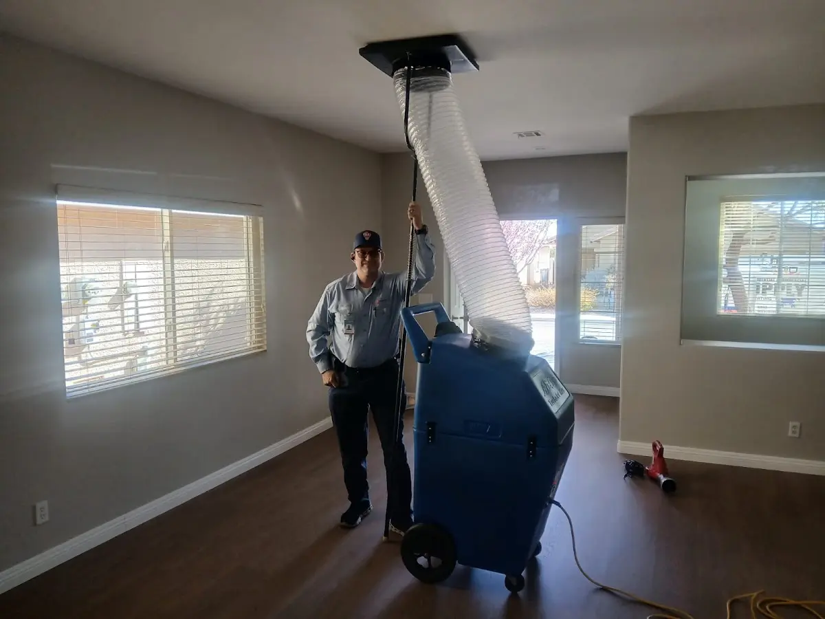 Professional Dryer Vent Cleaning work inside a Dover home